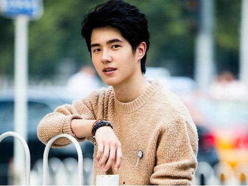 早前明星网红有哪些名字,揭秘早前明星网红的璀璨名字