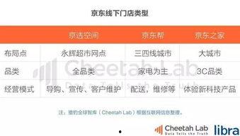 今日头条吃瓜女子12天,揭秘网络舆论背后的真相与反思”