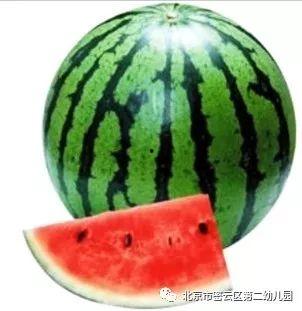 陕西沙漠瓜价今日价,沙漠绿洲里的新鲜诱惑