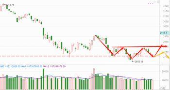 今日徐闻瓜菜行情走势