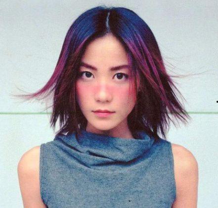 爱国明星网红有哪些名字,盘点爱国明星网红的璀璨风采