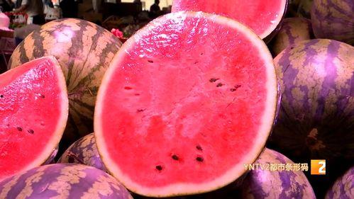 广州麒麟瓜今日行情,价格波动，市场供需分析”