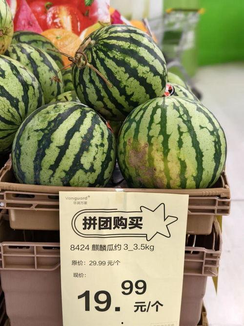 广州麒麟瓜今日行情,价格波动，市场供需分析”