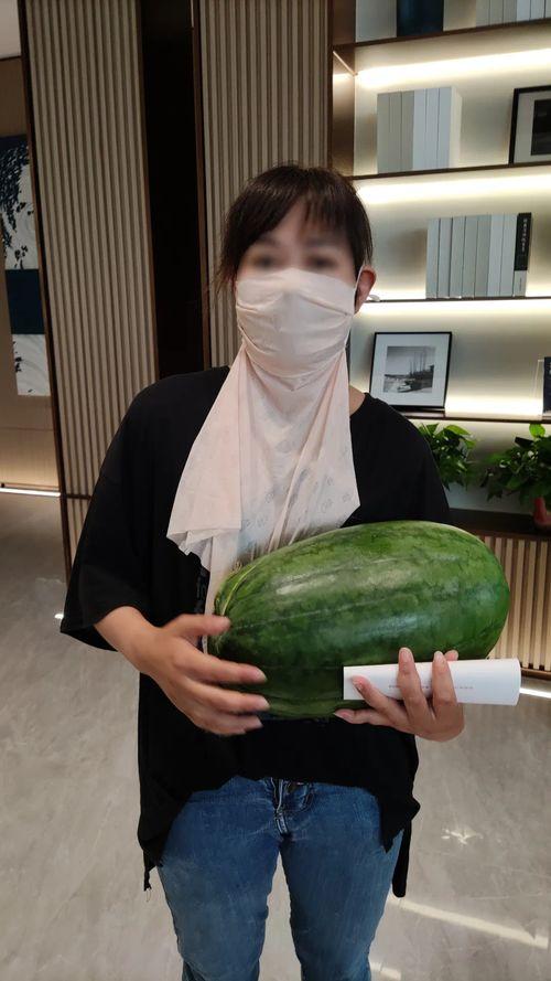 热门大瓜今日吃瓜155,揭秘热门事件155背后的惊人真相